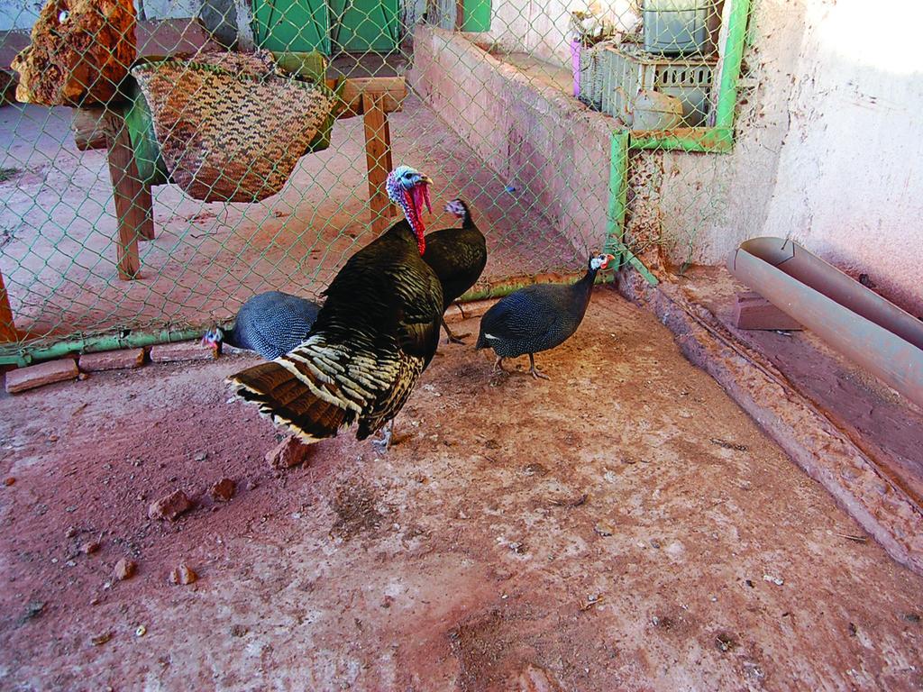Gite Souss Oulad Teïma Екстериор снимка